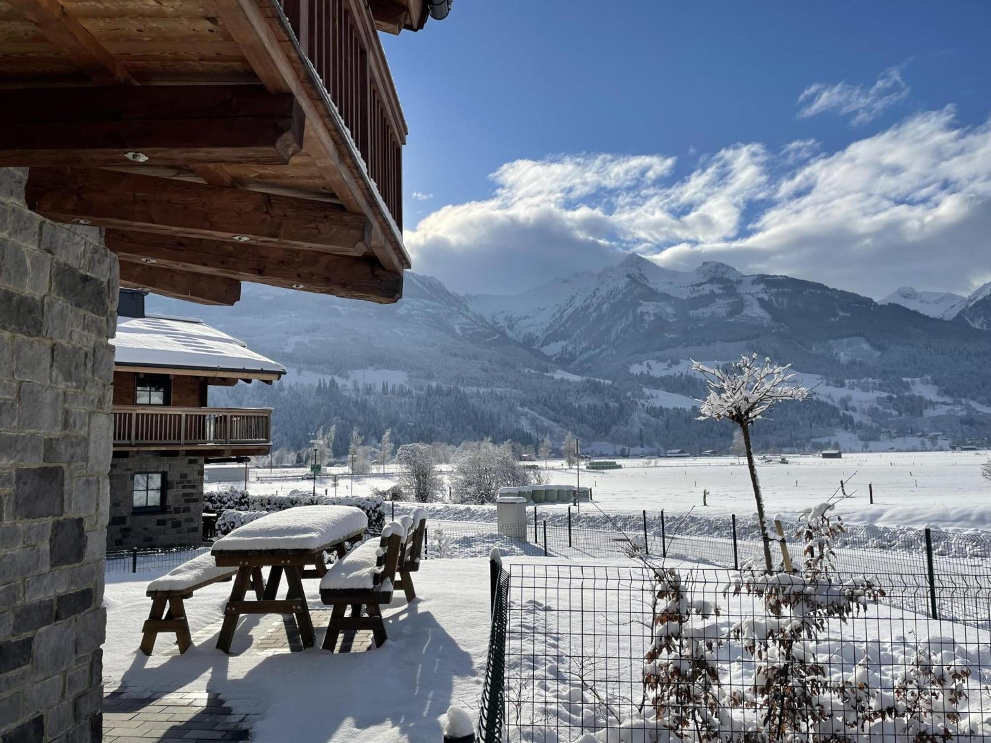 Tauern Lodge L ピーゼンドルフ エクステリア 写真