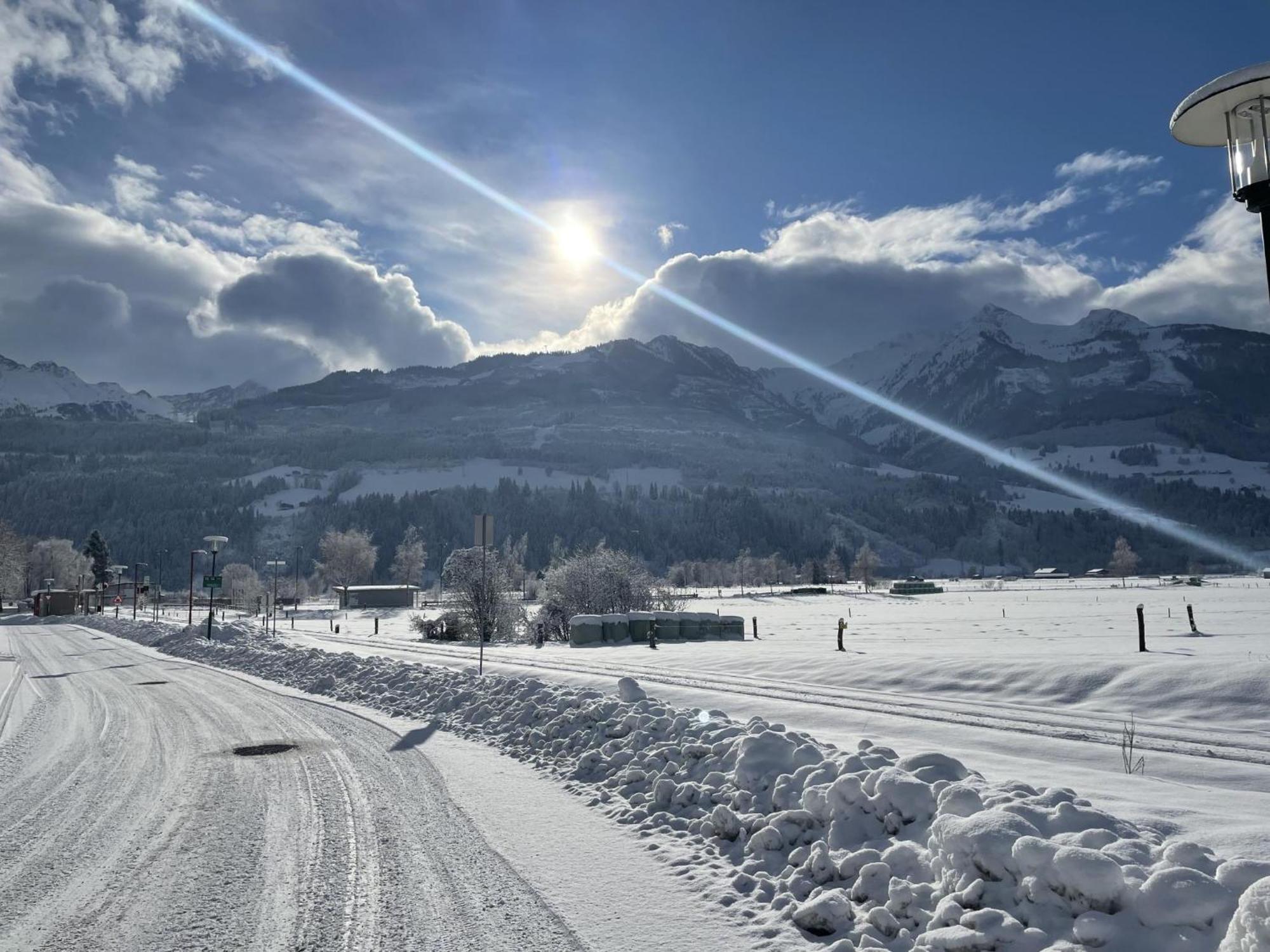 Tauern Lodge L ピーゼンドルフ エクステリア 写真