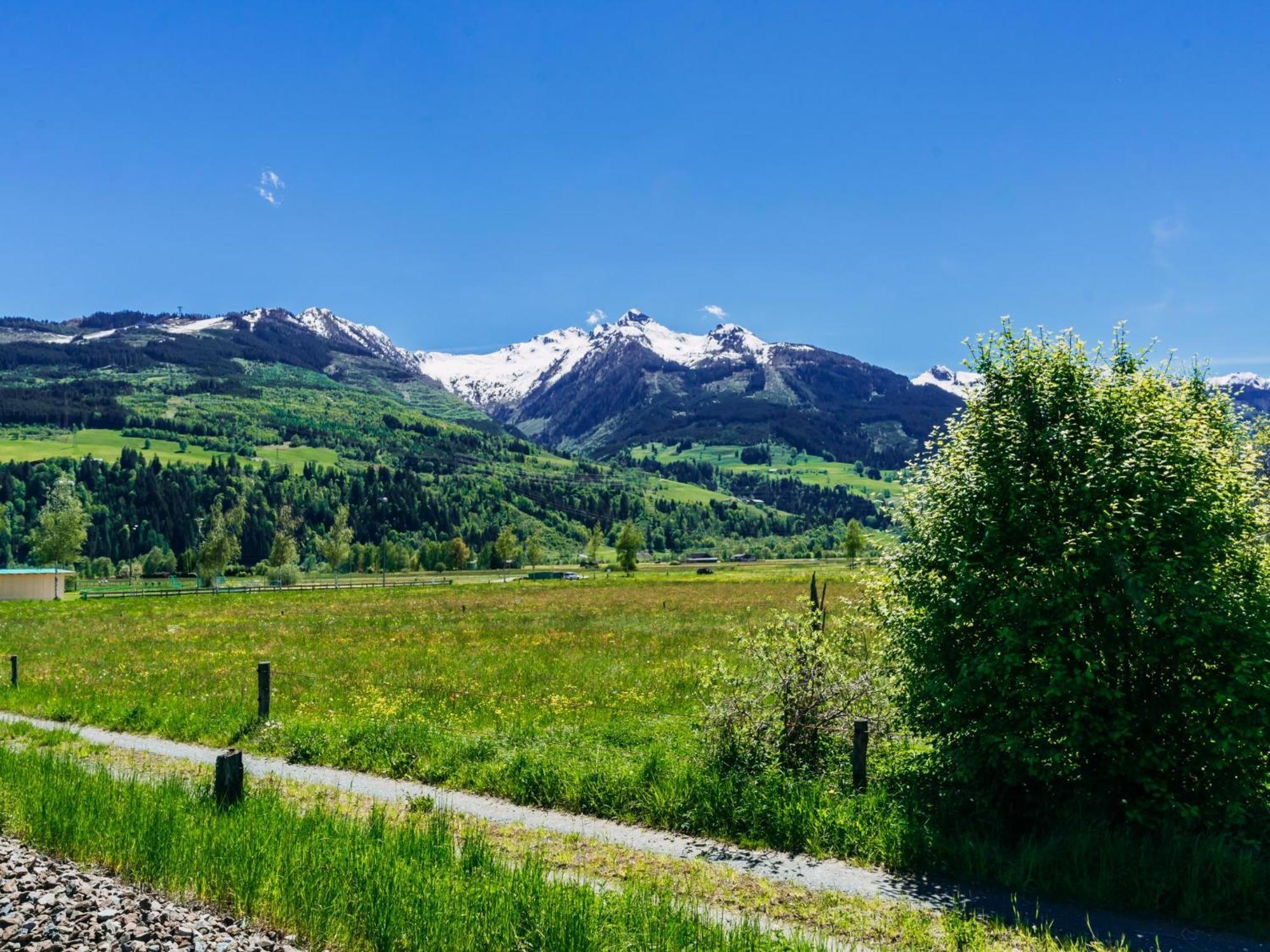Tauern Lodge L ピーゼンドルフ エクステリア 写真